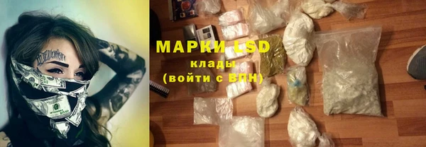 прущие грибы Киренск