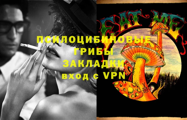 гидра Киреевск