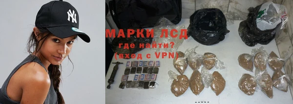 прущие грибы Киренск