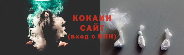 прущие грибы Киренск