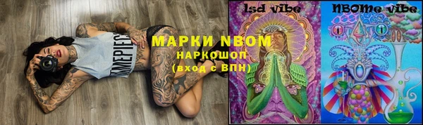 прущие грибы Киренск