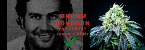 гидра Киреевск