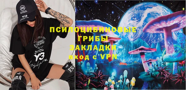 гидра Киреевск